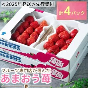 ふるさと納税 太宰府市 【先行受付】<2025年1月以降順次発送>フルーツ専門店が選んだ「あまおう苺」春4パック(太宰府市)