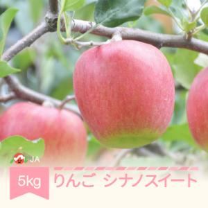 ふるさと納税 村山市 【りんご】「シナノスイート」 　秀品　約5kg