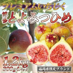 『2026年8月より順次発送』とよみつひめ　4パック(約300g×4パック)[H2223]