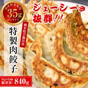 餃子専門店 宇都宮悟空　特製肉餃子24個入
