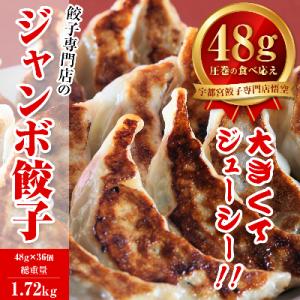 餃子専門店 宇都宮悟空　ジャンボ餃子36個入