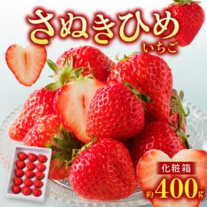 【先行受付2027年】さぬきひめいちご化粧箱　約400g