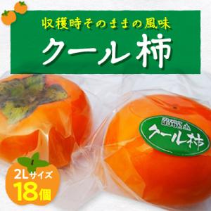 ふるさと納税 橋本市 今のこの時期に!?冷蔵富有柿(クール柿)2Lサイズ18個入り