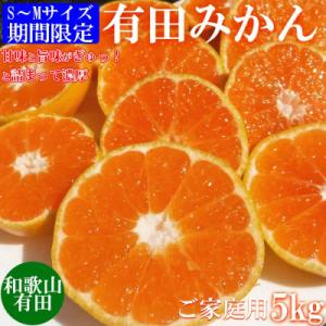 先行受付【ご家庭用】和歌山有田みかん5kg(S、Mサイズ)【美浜町】