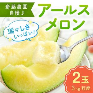 斎藤農園のアールスメロン(マスクメロン)　2玉(計3kg程度)≪先行受付分≫