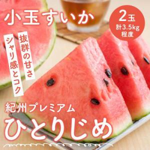 ふるさと納税 御坊市 紀州プレミアムひとりじめ(小玉スイカ)2玉(計3.5kg程度)≪先行受付分≫