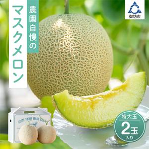農園自慢の『マスクメロン』特大玉×2玉