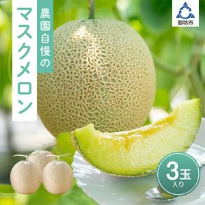 農園自慢の『マスクメロン』×3玉