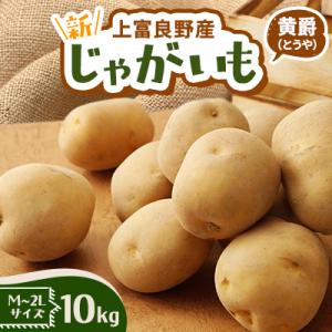 新じゃがいも　黄爵　10kg