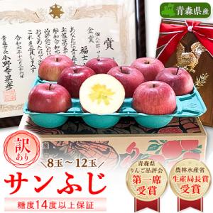 ふるさと納税 青森市 りんご「サンふじ」糖度14度以上保証 約3kg 訳あり 家庭用｜さとふる