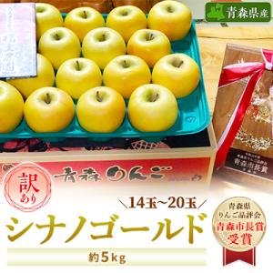 「シナノゴールド」5kg・訳あり家庭用りんご 青森市長賞受賞