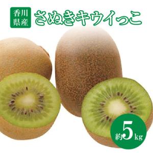 【先行受付2026年】さぬきキウイっこ　約5kg