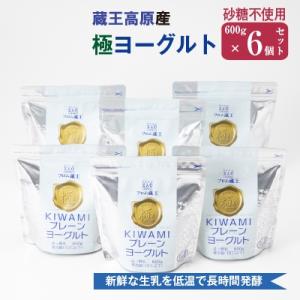 ふるさと納税 白石市 フロム蔵王　極プレーンヨーグルトセット(600g×6個)