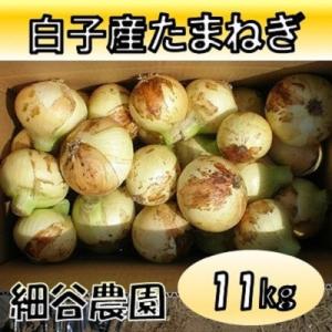 【先行受付】千葉県　白子産たまねぎ　11kg