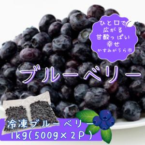 冷凍ブルーベリー1kg(500g×2パック)