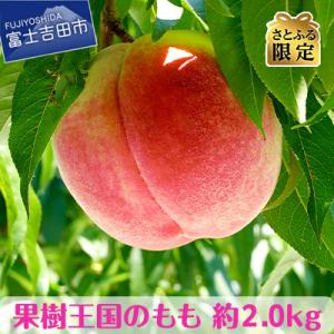 冷凍ハスカップ 2kg 北海道産 送料無料 : チトセスポーツ - 通販