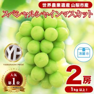 ふるさと納税 山梨市 2026年度先行予約 フルーツ王国山梨産厳選 シャインマスカット   2房 (...