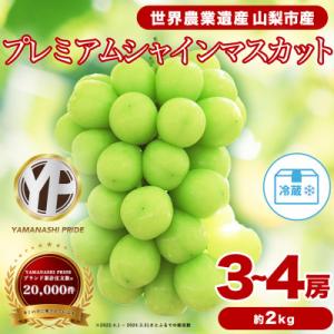 2026年発送 フルーツ王国山梨産 厳選 シャインマスカット 3～4房 (約2kg)