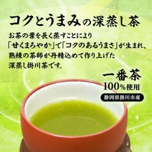 ふるさと納税 掛川市 【訳あり】深蒸し掛川茶1...の詳細画像1