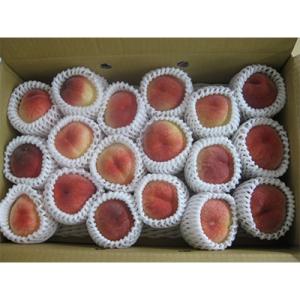 【期間限定】みとよの桃(小玉)　約3.5kg