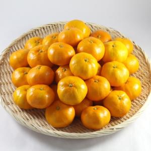 JA愛知みなみがお届けする伊良湖温室みかん(5kg箱)