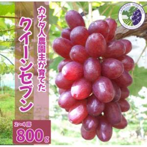 【カナダ人農園主の真心を込めた】皮ごと食べられるクイーンセブン約0.8kg