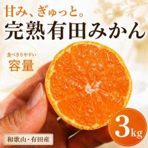 【先行受付】有田みかん 3kg ご家庭用【2026年10月下旬～発送予定】