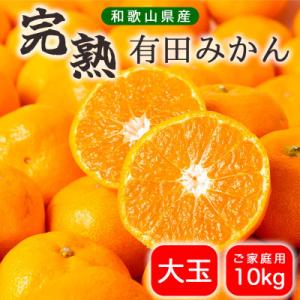 【先行受付】有田みかん 10kg  大玉 ご家庭用【2026年11月上旬〜発送予定】