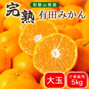 【先行受付】有田みかん 5kg 大玉 訳あり ご家庭用【2026年10月下旬より順次発送予定】