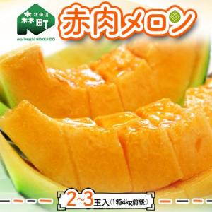 ふるさと納税 森町 【先行受付】北海道森町産赤肉メロン2〜3玉入り(1箱4kg前後)