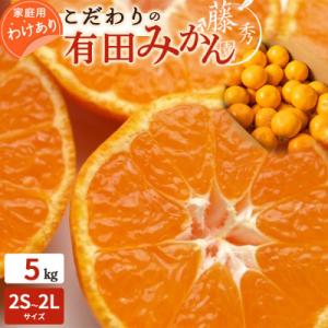 ふるさと納税 湯浅町 ＜先行受付＞こだわりの有田みかん　ご家庭用5kg(サイズおまかせ)