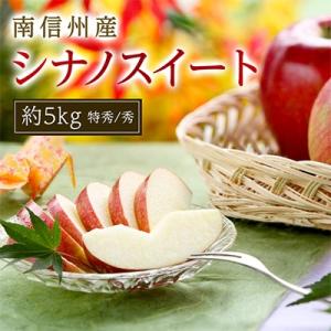 ふるさと納税 飯田市 【南信州産】 シナノスイート　約5kg　特秀・秀　