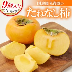 国城観光農園のたねなし柿9個入り(2Lサイズ)