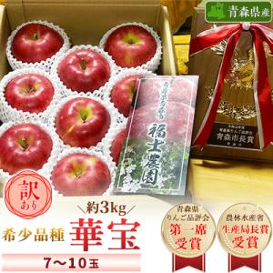 【希少品種】「華宝」約3kg・訳あり家庭用りんご 青森市長賞受賞