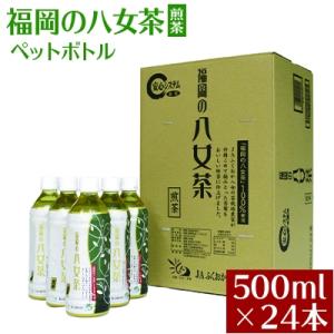 福岡の八女茶　煎茶ペットボトル　500ml×24本