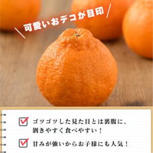 ふるさと納税 今治市 【先行予約】デコポン 3...の詳細画像1