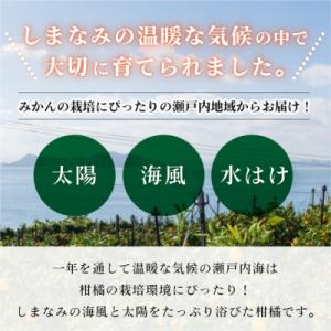 ふるさと納税 今治市 【先行予約】デコポン 3...の詳細画像3