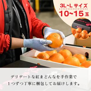 ふるさと納税 今治市 【先行受付】紅まどんな(...の詳細画像3