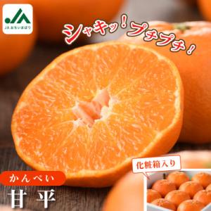 【先行受付】甘平 (化粧箱入) 高級柑橘 4L～2L 8～12玉 かんぺい KC00640