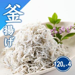 湘南江の島　しらす問屋とびっちょ　釜揚げしらすセット(120g×4個)