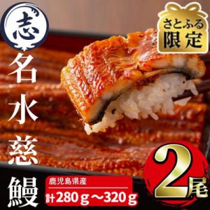 ふるさと納税 うなぎ 志布志市 【さとふる限定】鹿児島県産うなぎ蒲焼　2尾(合計280g〜320g)