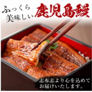 ふるさと納税 うなぎ 志布志市 【さとふる限定...の詳細画像1