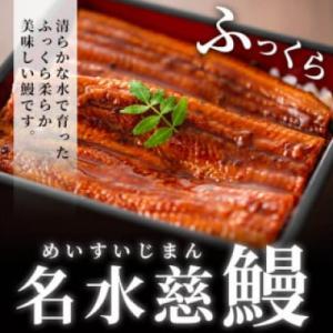 ふるさと納税 うなぎ 志布志市 【さとふる限定...の詳細画像2