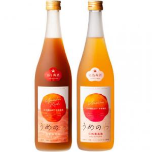【紀州完熟南高梅使用】濃厚「ねり梅酒」と芳醇「完熟梅酒」各720mlの飲み比べ(九度山町)