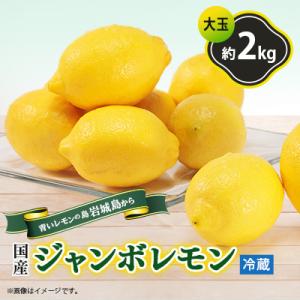 青いレモンの島　貯蔵蔵出しジャンボレモン2kg(冷蔵)