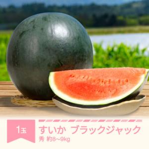 ブラックジャック大玉(約8～9kg)