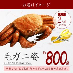 ふるさと納税 弟子屈町 【のし付】【北海道】 ...の詳細画像3
