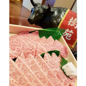 広陵町 焼肉 樹苑