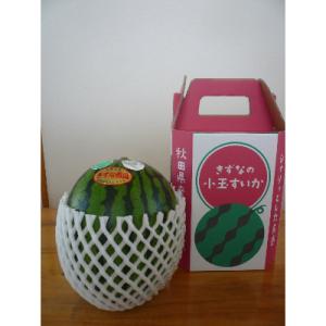 小玉すいか(あきた夏丸チッチェ)2Lサイズ1個入