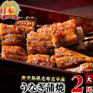 うなぎの大楠<大>2尾セット計300g(150g×2)